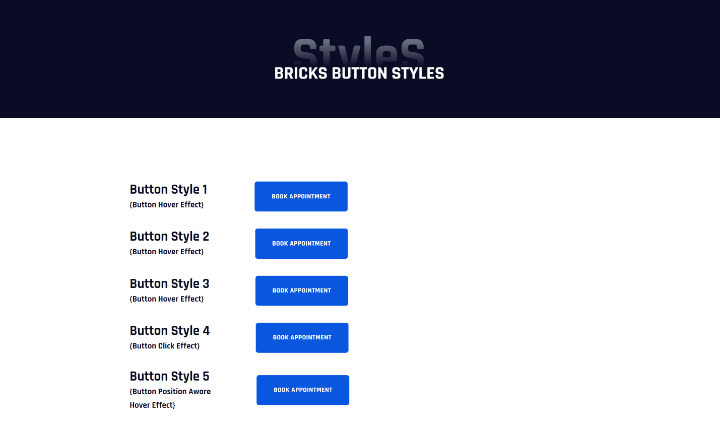 Bricks 5 Button Styles fullwidth