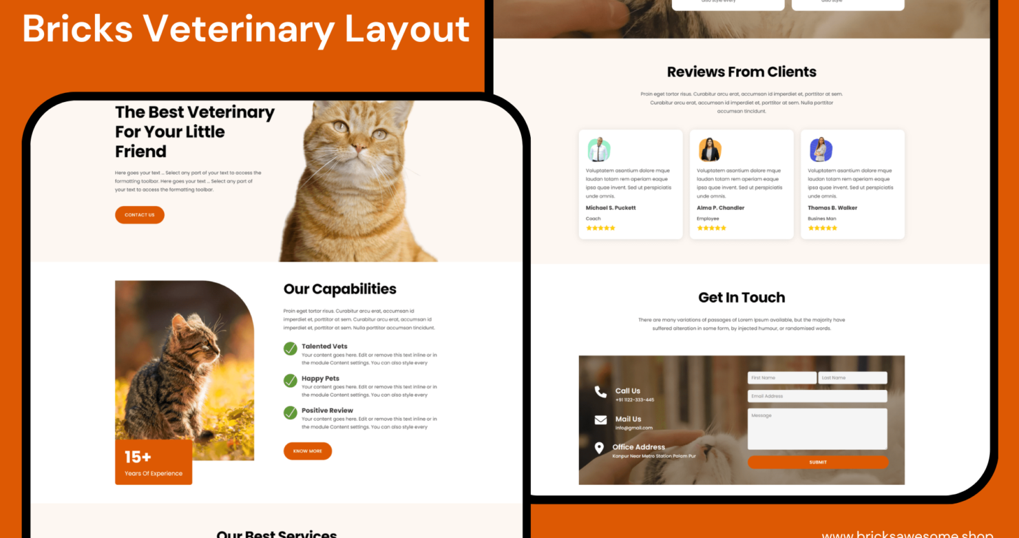 Bricks Veterinary Layout