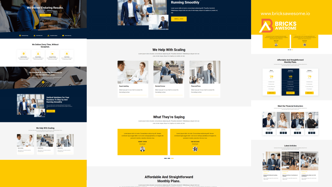 Bricks Analytical Partner Layout
