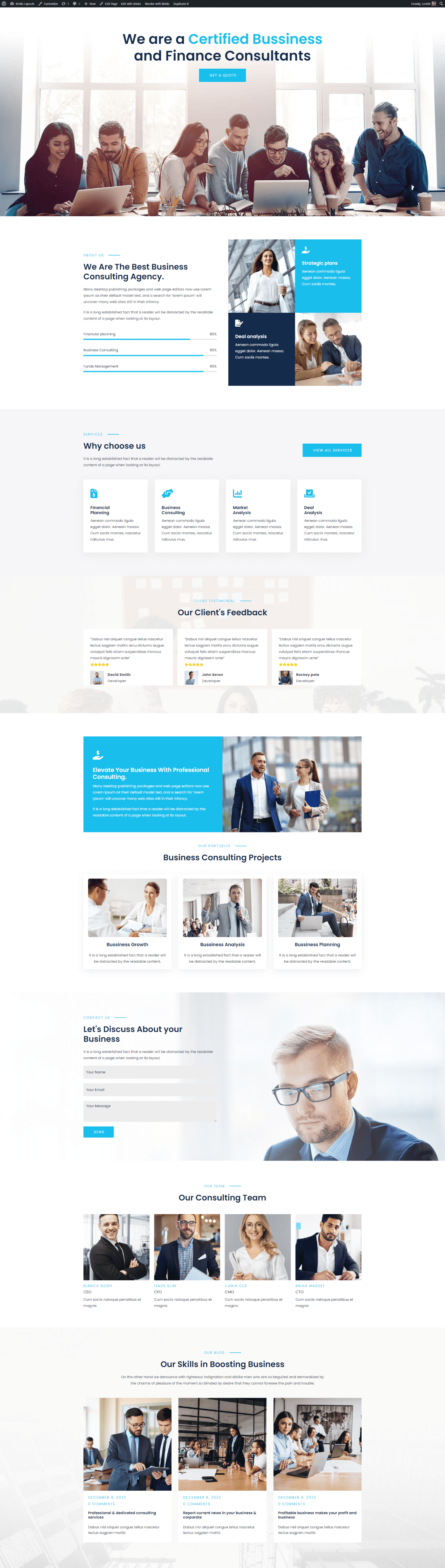 Bricks Business Consulting Layout Full Width