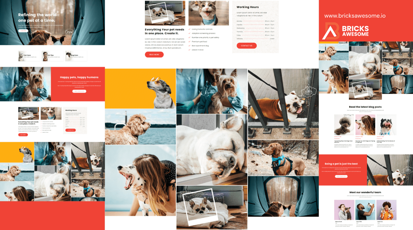 Bricks Pet Care Layout 2