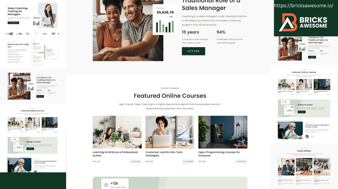 Bricks Sales Coaching Layout